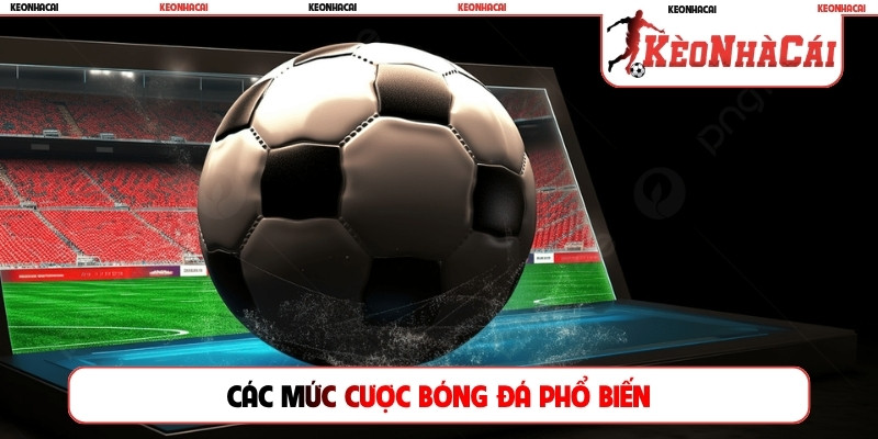 Các mức cược bóng đá phổ biến